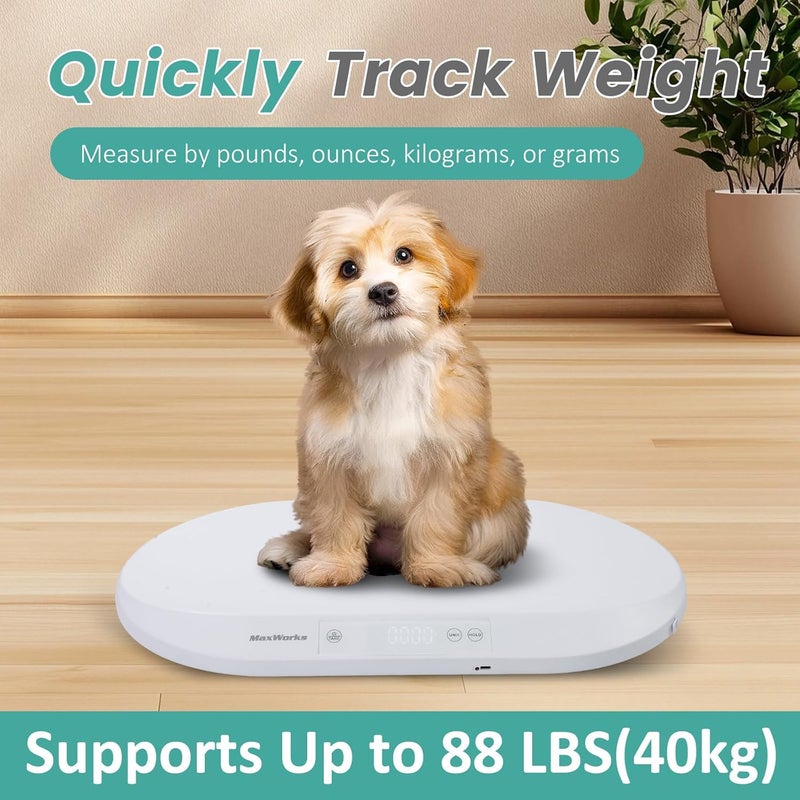 Maxworks 51075 Baby & Pet Scale – 88 lbs Capacity, Type-C Rechargeable or AAA Battery, Large Platform, Unit Conversion, Lock & Tare, White (g/kg/lb/oz) - Image 4